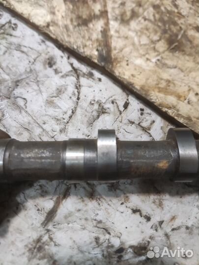 Распредвал днепр мт10-36