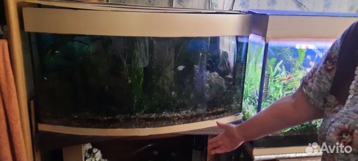 Аквариум