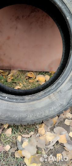 Nokian Tyres Nordman 5 175/65 R14 82D