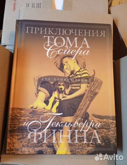 Приключения Тома Сойера Гекльберри Финна