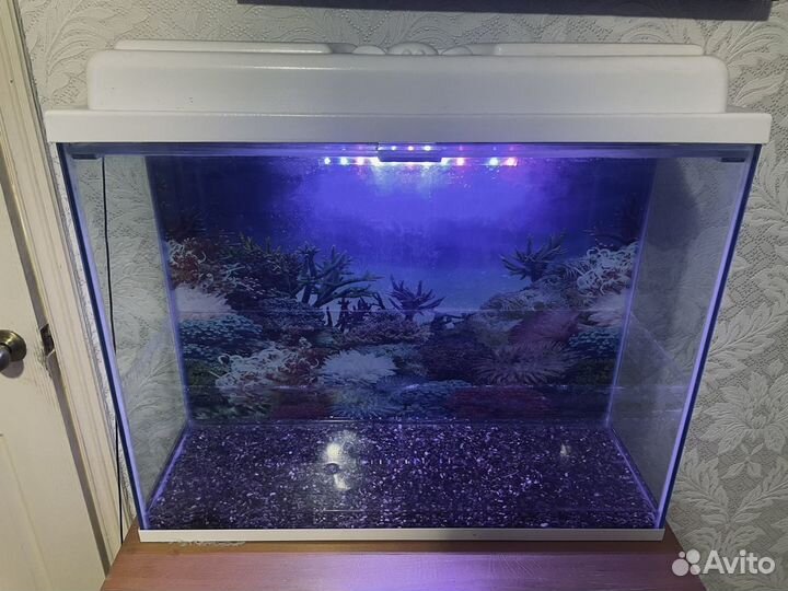 Аквариум