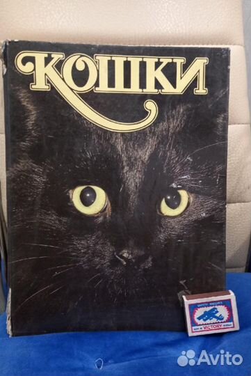 Энциклопедия про кошек