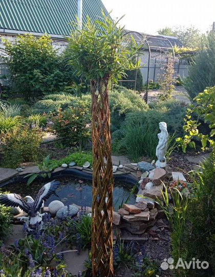 Плетеные деревья из ивы