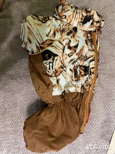 Одежда для собак