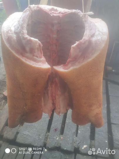 Мясо свинное домашнее