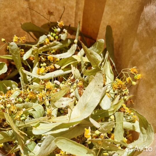 Липовый цвет