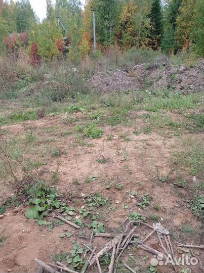 Приму грунт. Много