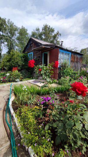 Дача 38 м² на участке 8,4 сот.