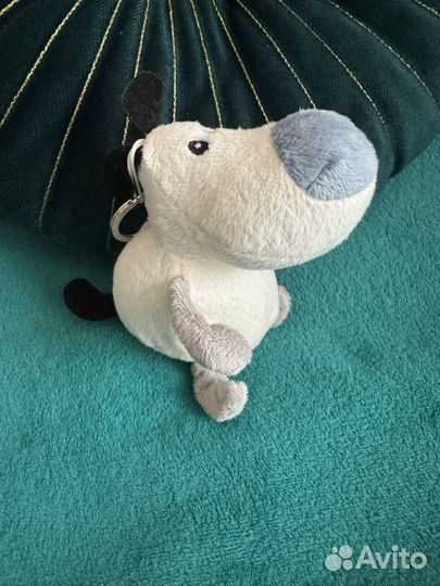 Новая собака 