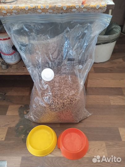 Корм для кошек