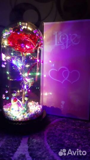 Роза в колбе