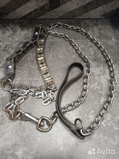 Амуниция для собак