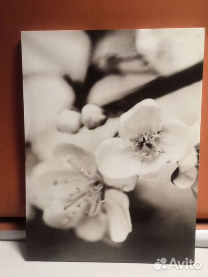 Модуль из трех картин