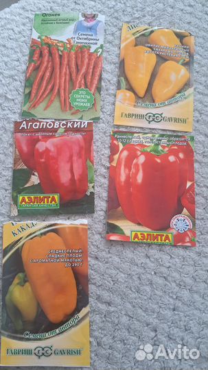 Рассада помидор и перцев, баклажан