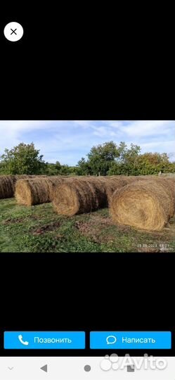 Сено в рулонах