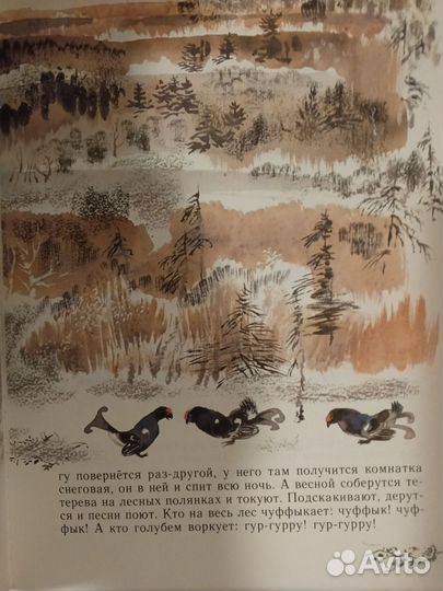 Чарушин. Моя первая зоология. 1984 год