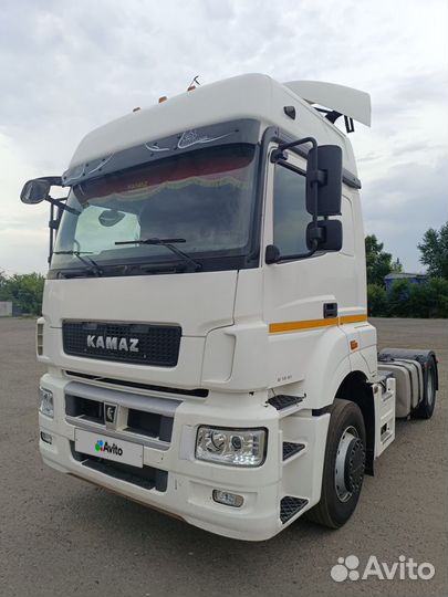 КамАЗ 5490 NEO 2, 2019