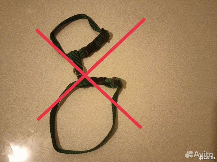 Воротники+Шлейки/Домашним Питомцам