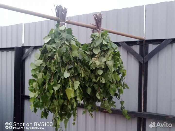 Банные веники оптом