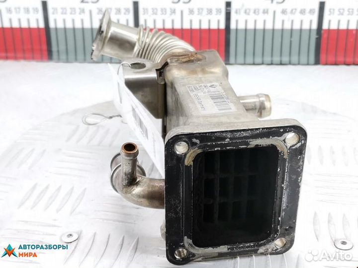 Охладитель EGR / Радиатор EGR Renault Megane