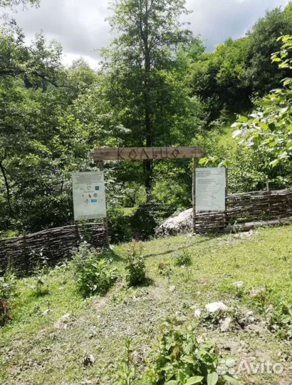 Поездки в горы