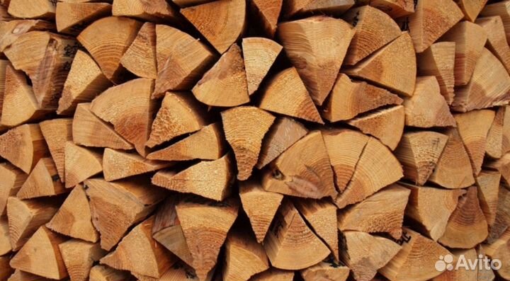 Дрова дубовые