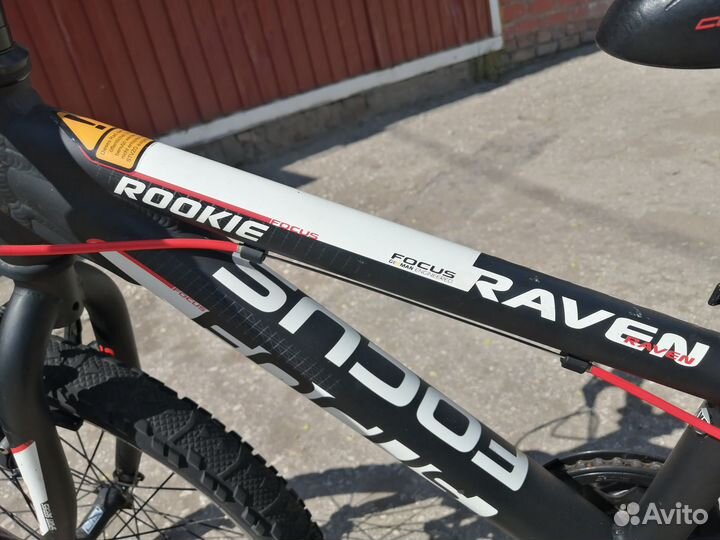 Велосипед подростковый 20 Focus rookie raven