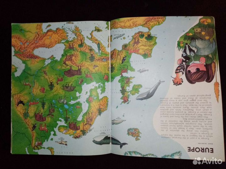 Азбука английская