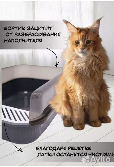 Лоток для кошек большой с высокими бортами