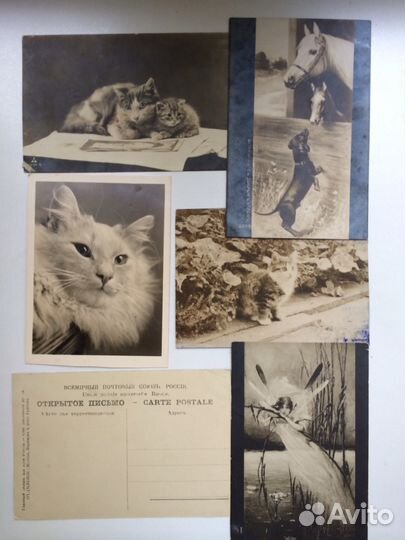 Старинные открытки