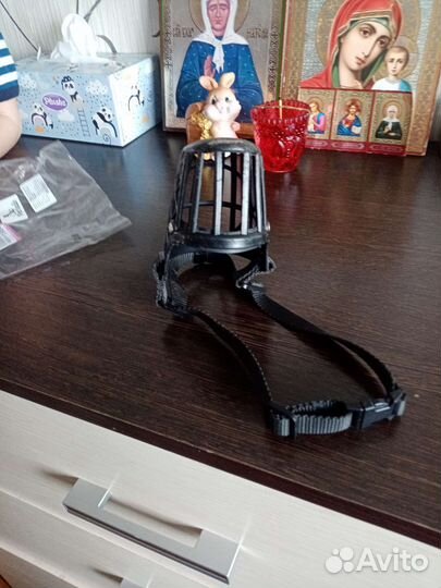 Намордник для собак