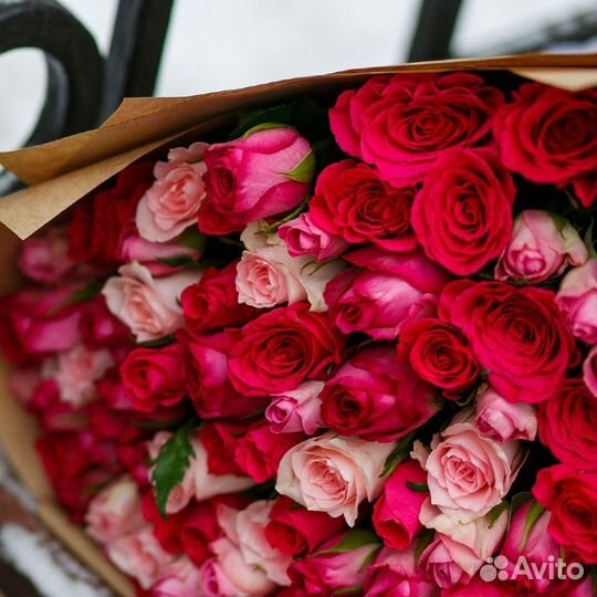 101 Роза Цветы Букеты 25 51 151 201 Розы Доставка