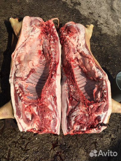 Мясо свинина домашнее