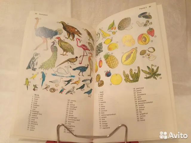 Словари и учебники по английскому языку