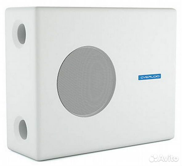 Пассивный корпусной сабвуфер CVGaudio SUBone model