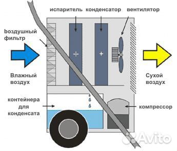 Профессиональный осушитель воздуха Master аренда