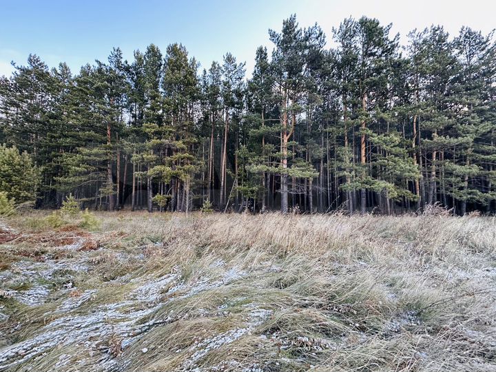 Участок 7,7 га (ИЖС)