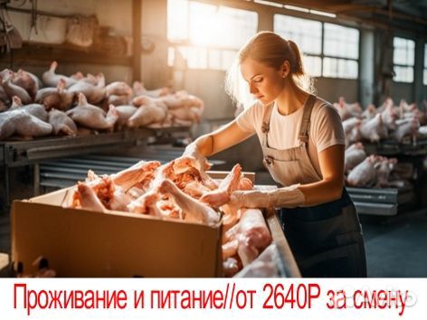 Работа в Белгороде вахта проживание разнорабочий