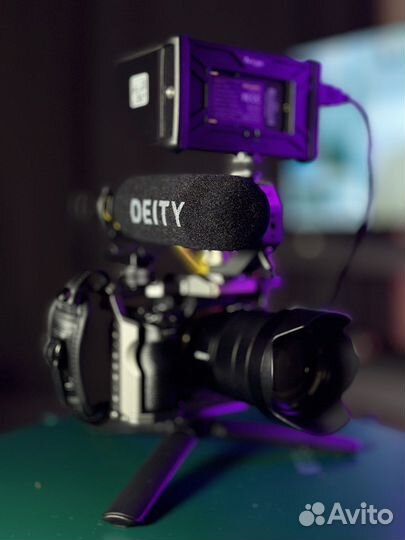 Sony a7 iii + sony 24-70 f4