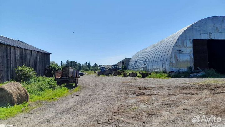 Фермерское хозяйство