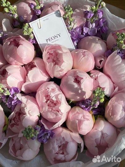 Пионы Римская