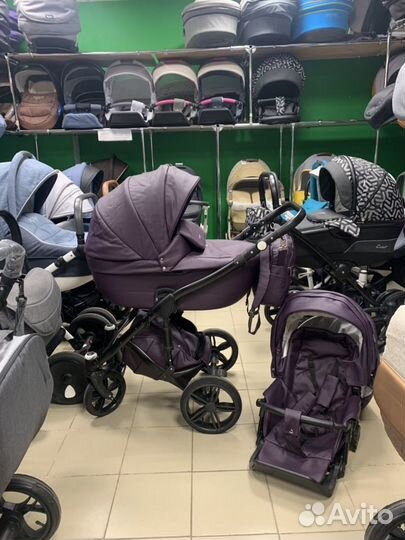 Коляска Anex Cross Ecco premium