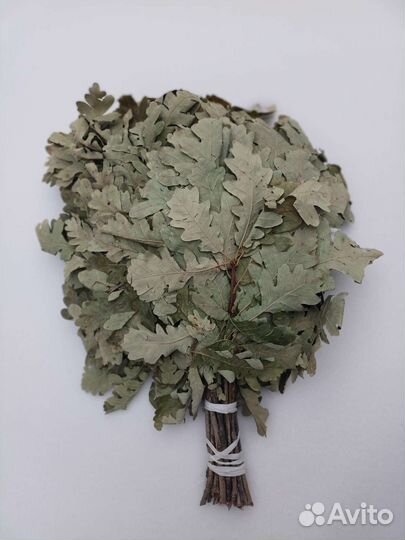 Веник дубовый