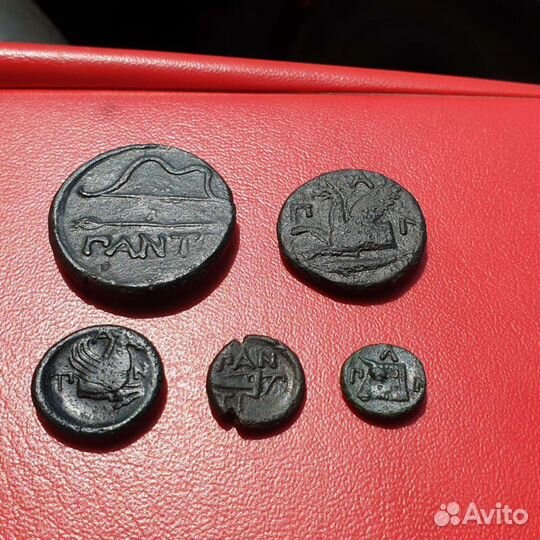 Античная монета Боспорское царство