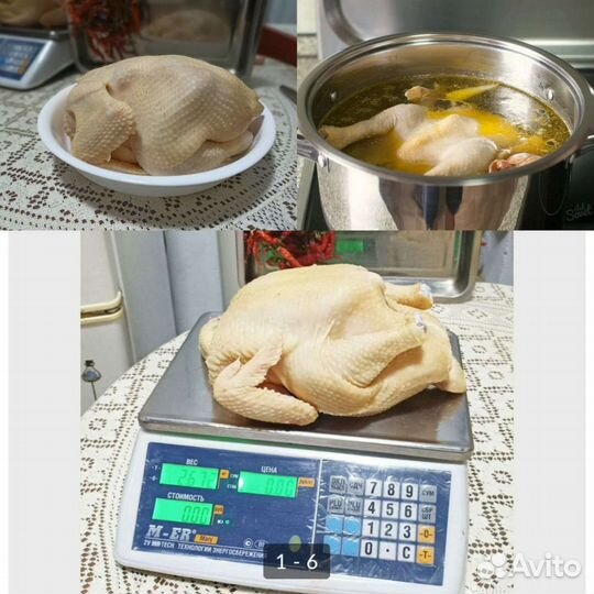 Мясо кур