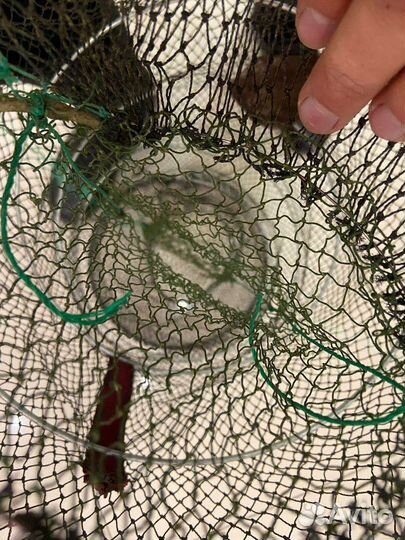 Раколовки 30*60