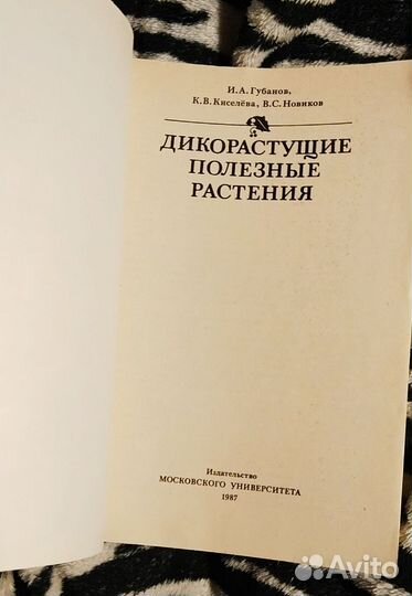 Дикорастущие полезные растения