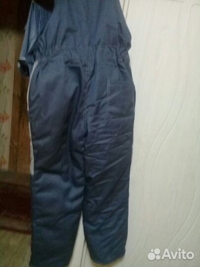 Камдинизон зимний