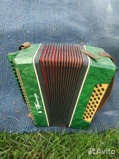 Гармонь Троянда