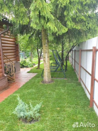 Рулонный газон + Ландшафтное проектирование